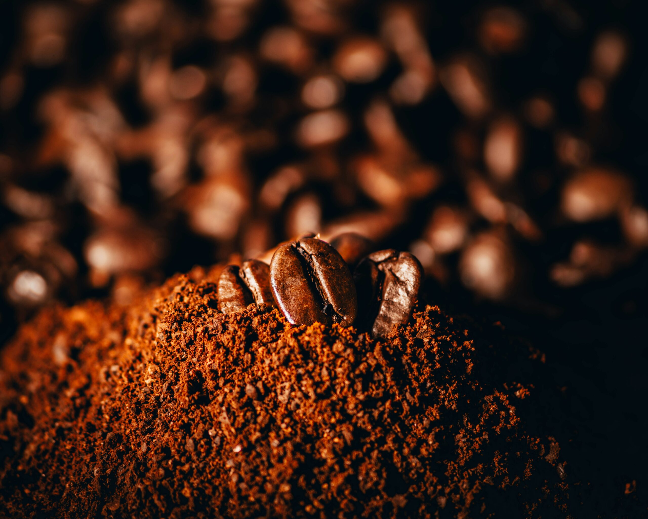 Close-up shot of freshly ground coffee beans in a grinder