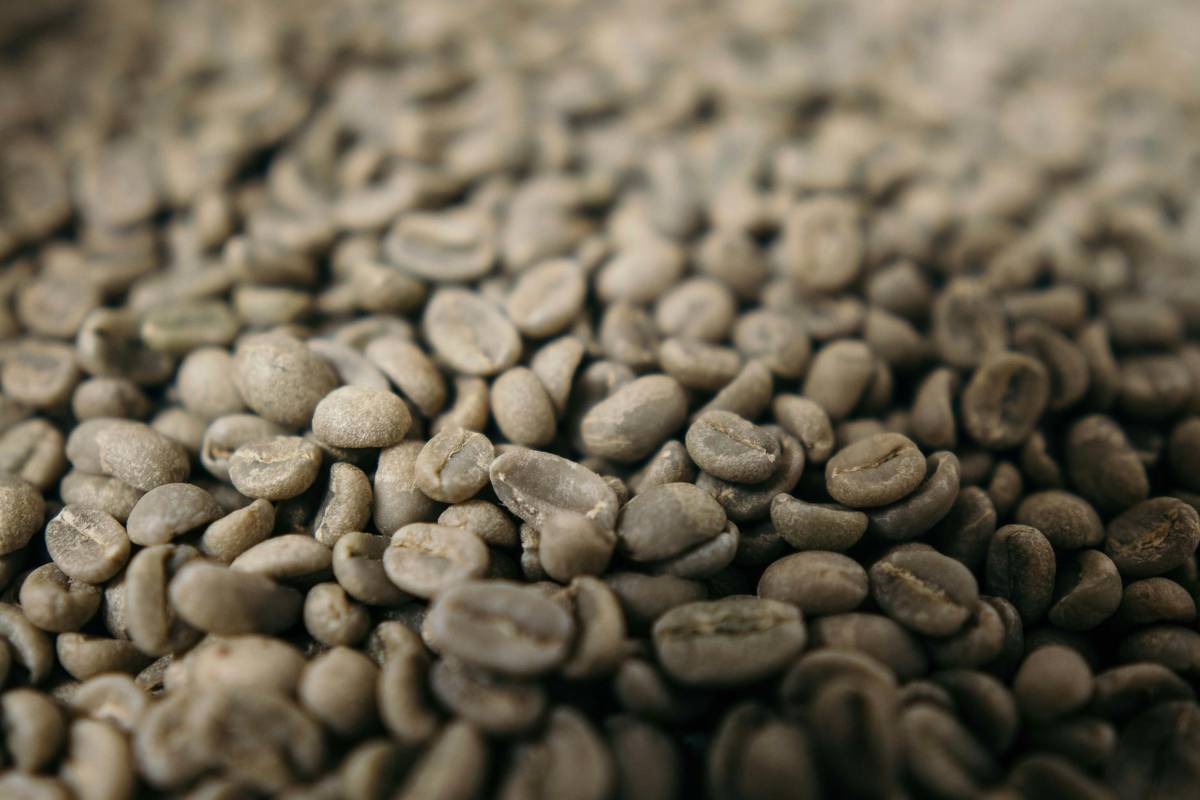 Arabica Coffee Beans and Smart Coffee Makers: The Ultimate Brew Experience