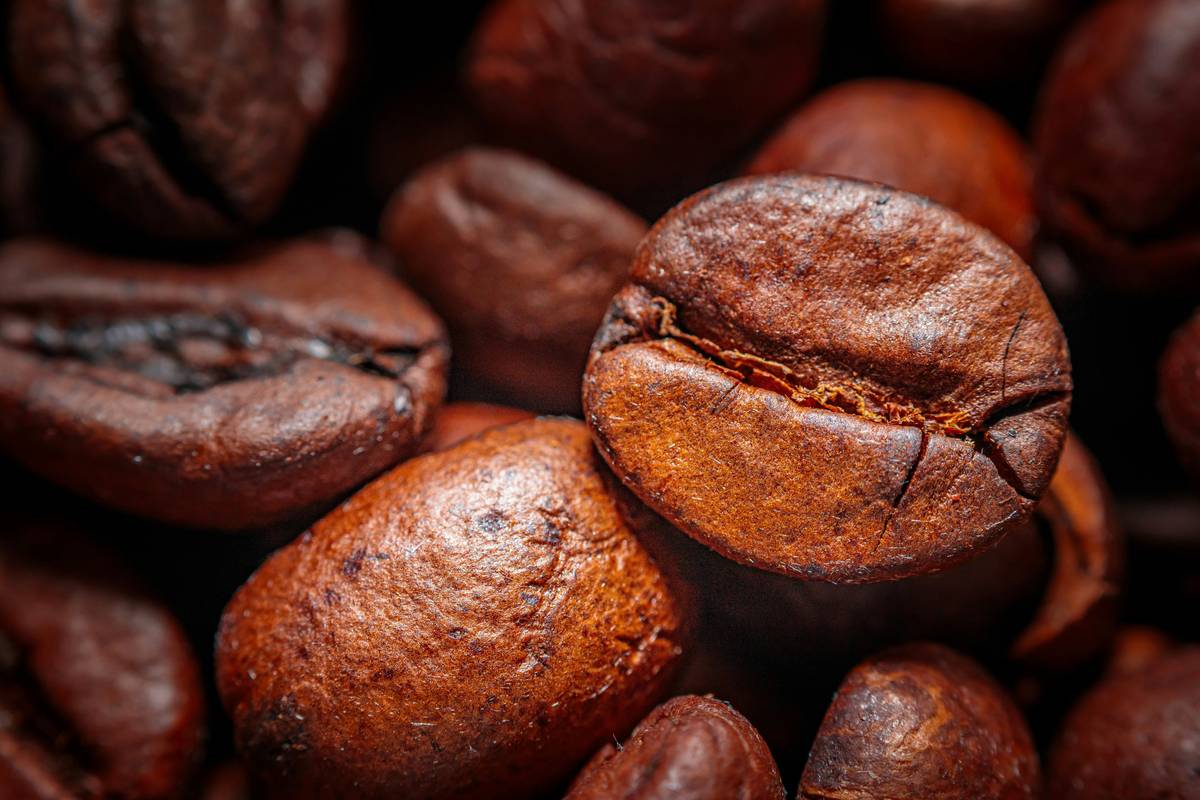 Why Robusta Coffee Beans Are the Secret Ingredient for Your Smart Coffee Maker