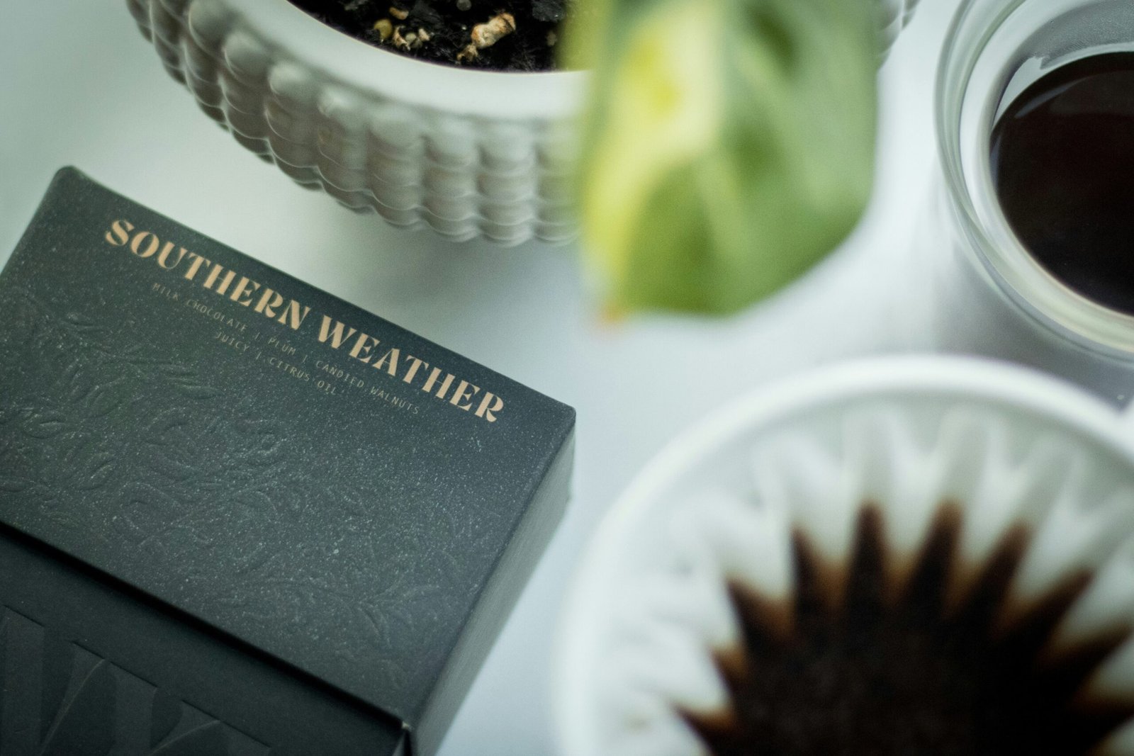 Onyx Coffee Lab Southern Weather Beans Kalita Wave 185 Fellow Double Walled Tasting Glass Plant