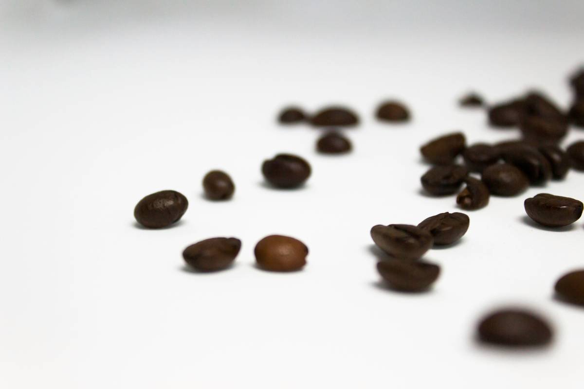 Close-up of dark brown robusta coffee beans against a white background
