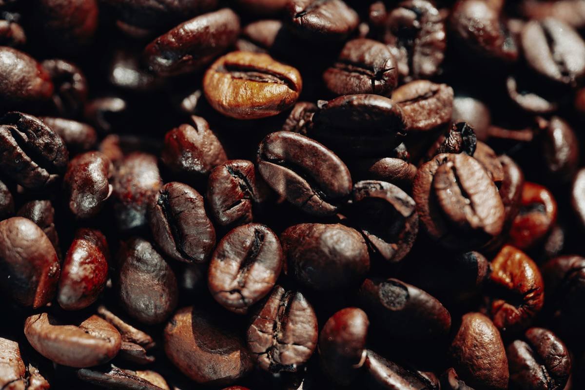 Chart showing extraction yield vs. roast level: dark roasts peak earlier and decline faster than light roasts