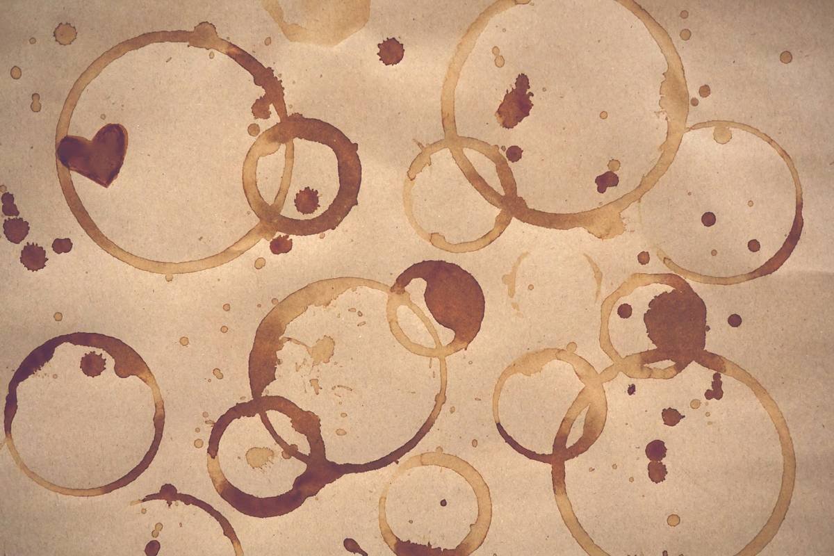 Diagram showing high-risk odor zones in smart coffee makers: water reservoir seal, brew head gasket, milk frother nozzle, and internal tubing.