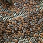 Why Your Smart Coffee Maker Deserves Fresh Roasted Beans (And How to Get It Right)