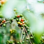 How to Master Coffee Brew Optimization with Smart Coffee Makers