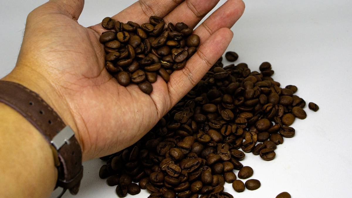 Timeline graphic showing coffee bean freshness stages: Days 0-4 (too gassy), Days 5-14 (peak flavor), Days 15-21 (declining), Day 22+ (stale). Includes CO2 degassing curve and oxidation markers.