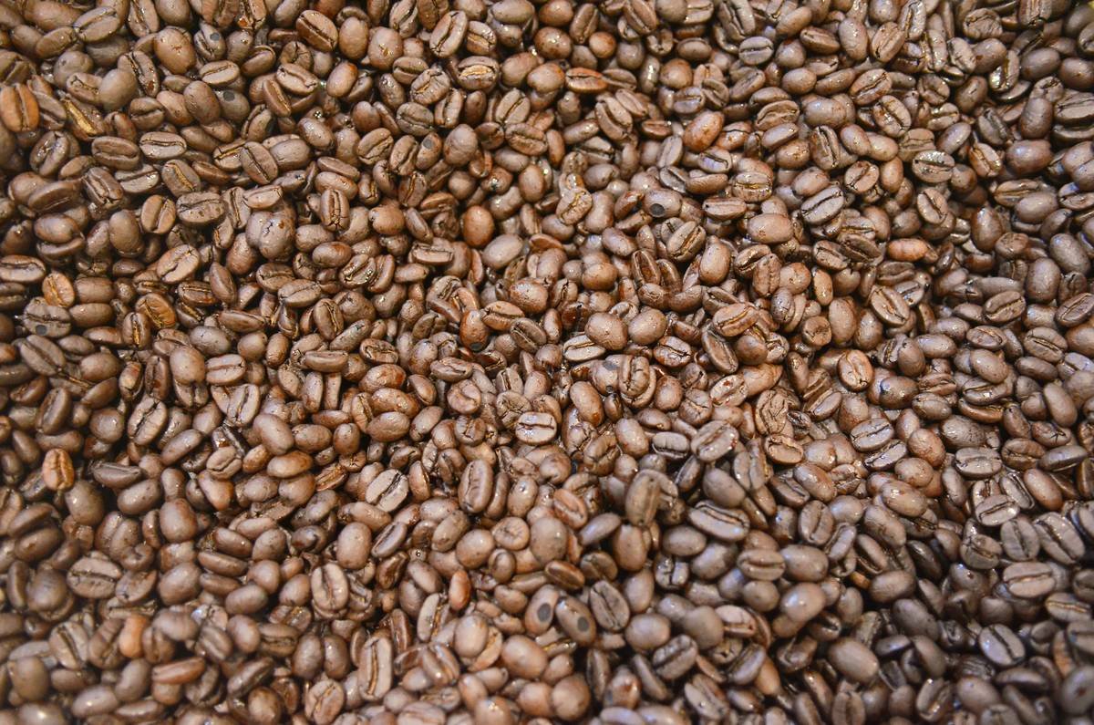 Why Your Smart Coffee Maker Deserves Premium Beans (And How to Actually Taste the Difference)