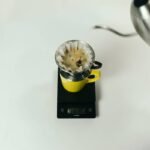 Why Your Smart Coffee Maker’s Temperature Calibration Is Ruining Your Brew (And How to Fix It)