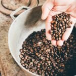 How Your Coffee Bean Roast Profile Transforms Smart Brewing (And Why Your $300 Machine Still Makes Bitter Sludge)