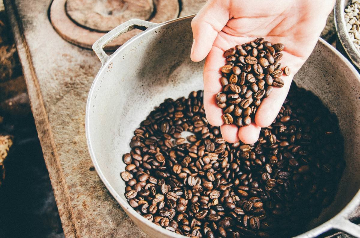 How Your Coffee Bean Roast Profile Transforms Smart Brewing (And Why Your $300 Machine Still Makes Bitter Sludge)
