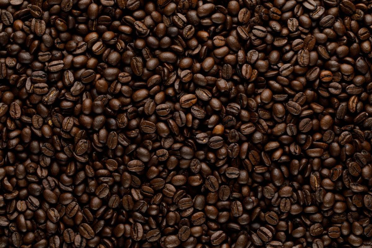 Smart coffee maker with compatible medium roast beans showing optimal coffee bean compatibility